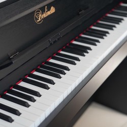 BERLİNETTA BT-1820BK DİJİTAL PİYANO