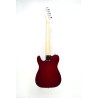 TL-01DRD Elektro Gitar – SS Manyetik Sistemli Telecaster