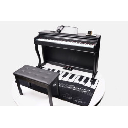 VİSTA LAREN VL-2119BK Mat Siyah  Dijital Piyano