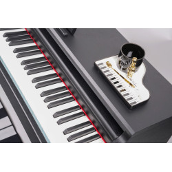 VİSTA LAREN VL-2119BK Mat Siyah  Dijital Piyano